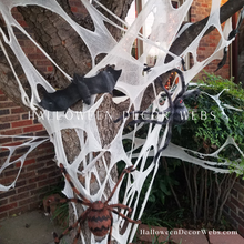 Load image into Gallery viewer, Halloween decor spider web, outdoor, indoor, reusable, party